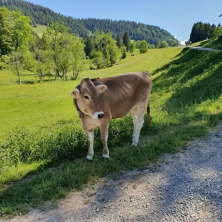 Lejlighed Allgaeuglueck Im Oberallgaeu Mit Hallenbad, Sauna, Wlan *
