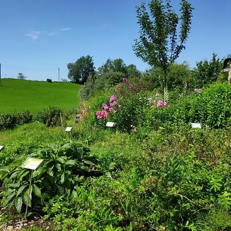 公寓 Allgaeuglueck Im Oberallgaeu Mit Hallenbad, Sauna, Wlan 米森-维尔哈姆斯