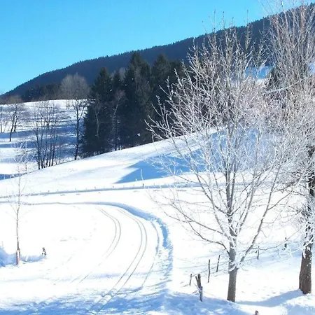 Allgaeuglueck Im Oberallgaeu Mit Hallenbad, Sauna, Wlan Lejlighed Missen-Wilhams